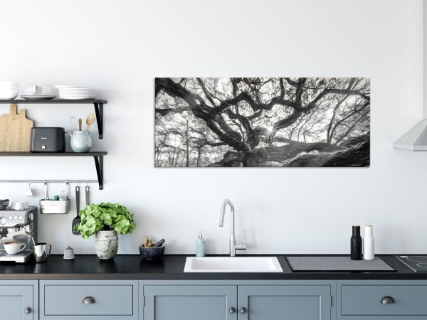 Baum, Glasbild Panorama Jetzt online – Bild 3