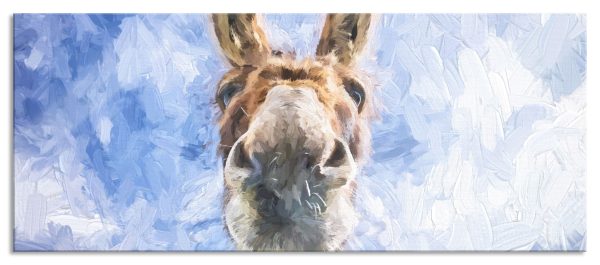 Lustiger Esel Kunst, Glasbild Panorama Im Angebot